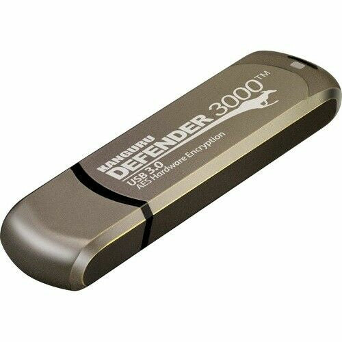 iStorage Kanguru Defender 3000 USB flash drive 256 GB USB Type-C 3.2 Gen 1 (3.1 Gen 1) Gray