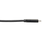 Tripp Lite U038-C13 USB cable USB 3.2 Gen 2 (3.1 Gen 2) 157.5" (4 m) USB A USB C Black