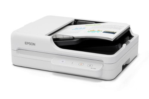 Epson DS-1730 Flatbed & ADF scanner 1200 x 1200 DPI A4 Black, White