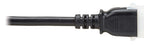 Eaton P005-E10 power cable Black 122" (3.1 m) IEC C14 IEC C13