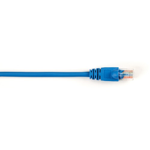Black Box CAT5e Patch 6m networking cable Blue 236.2" (6 m)