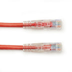 Black Box Cat6 UTP 4.5m networking cable Red 177.2" (4.5 m) U/UTP (UTP)