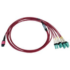 Tripp Lite N845X-02M-8L-MG InfiniBand/fibre optic cable 78.7" (2 m) MPO/MTP 4x LC OFNR Aqua color, Black, Magenta