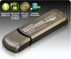 iStorage Kanguru Defender 3000 USB flash drive 256 GB USB Type-C 3.2 Gen 1 (3.1 Gen 1) Gray
