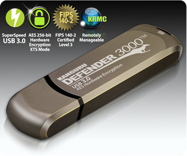 iStorage Kanguru Defender 3000 USB flash drive 256 GB USB Type-C 3.2 Gen 1 (3.1 Gen 1) Gray