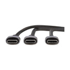 Tripp Lite U420P-2X6-100W USB cable USB 2.0 70.9" (1.8 m) USB C 2 x USB C Black, Gray