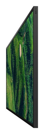 Sony BZ35P Digital signage flat panel 50" LED Wi-Fi 500 cd/m² 4K Ultra HD Black Android 24/7