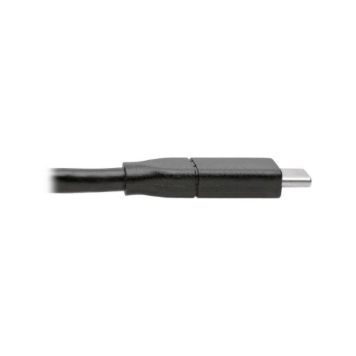 Tripp Lite U040-C13-C-5A USB cable USB 2.0 155.9" (3.96 m) USB C Black