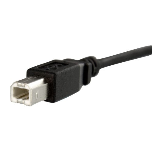 StarTech.com USBPNLBFBM1 USB cable USB 2.0 11.8" (0.3 m) USB B 0.48 Gbit/s Black