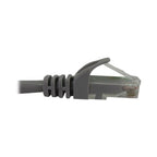 Tripp Lite N261-100-GY networking cable Gray 1200.4" (30.5 m) Cat6a U/UTP (UTP) Round