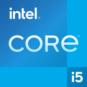 DELL QCS1250 Intel® Core™ i5 i5-14500 16 GB DDR5-SDRAM 512 GB SSD Windows 11 Pro Slim PC PC Black