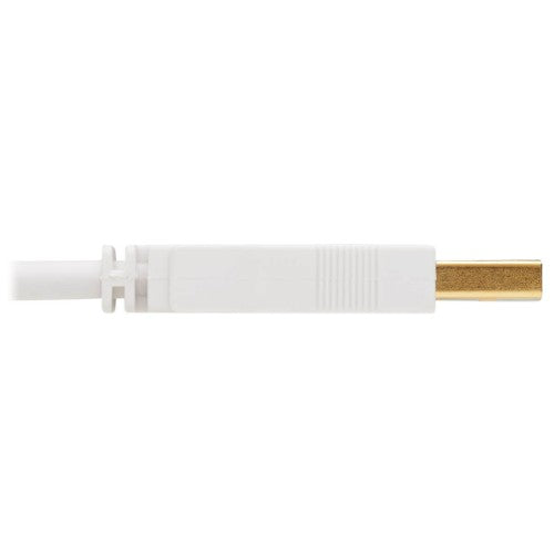 Tripp Lite U022AB-006-WH USB cable USB 2.0 72" (1.83 m) USB A USB B White
