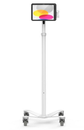 Compulocks MCRSTDEXWPMIP109 tablet security enclosure 10.9" Black, White