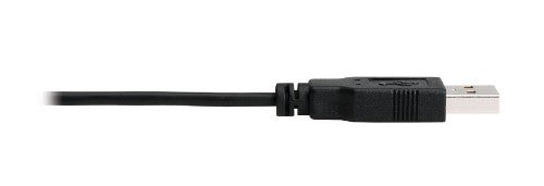 Eaton P130-06N-DP-8K video cable adapter 39.4" (1 m) DisplayPort HDMI Black