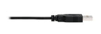 Eaton P130-06N-DP-8K video cable adapter 39.4" (1 m) DisplayPort HDMI Black