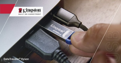Kingston Technology DataTraveler Kyson USB flash drive 256 GB USB Type-A 3.2 Gen 1 (3.1 Gen 1) Stainless steel