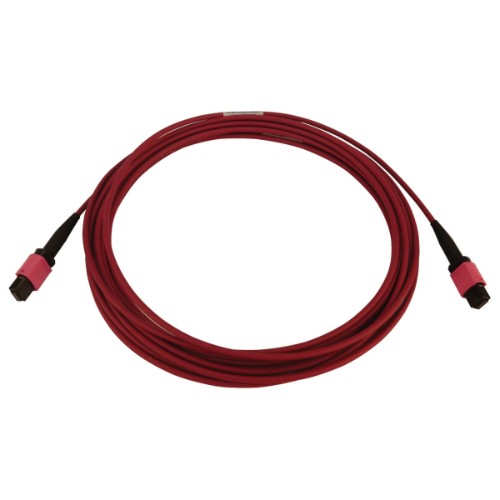 Tripp Lite N845B-05M-12-MG InfiniBand/fibre optic cable 196.9" (5 m) MPO/MTP OFNR Black, Magenta