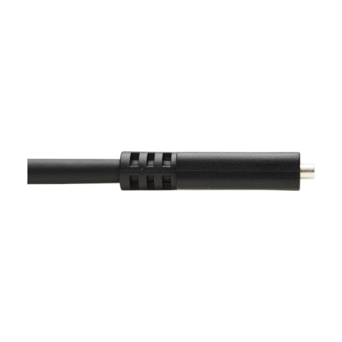 Tripp Lite U421-20N-G2 USB cable USB 3.2 Gen 2 (3.1 Gen 2) 19.3" (0.49 m) USB C Black
