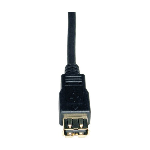 Tripp Lite U024-010 USB cable USB 2.0 120.1" (3.05 m) USB A Black