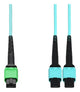 AddOn Networks ADD-16FAMPO-2MPO3M5OM4LZ InfiniBand/fibre optic cable 118.1" (3 m) MPO-16 2x MPO MMF Aqua color, Black, Green