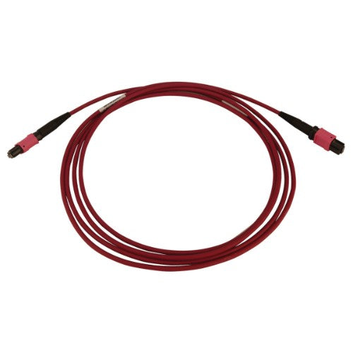 Tripp Lite N845B-02M-12-MG InfiniBand/fibre optic cable 78.7" (2 m) MPO/MTP OFNR Black, Magenta