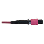Tripp Lite N845B-20M-12-MG InfiniBand/fibre optic cable 787.4" (20 m) MPO/MTP OFNR Black, Magenta