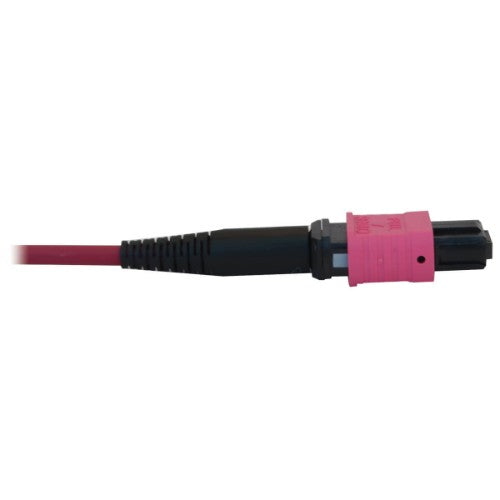 Tripp Lite N845B-20M-12-MG InfiniBand/fibre optic cable 787.4" (20 m) MPO/MTP OFNR Black, Magenta