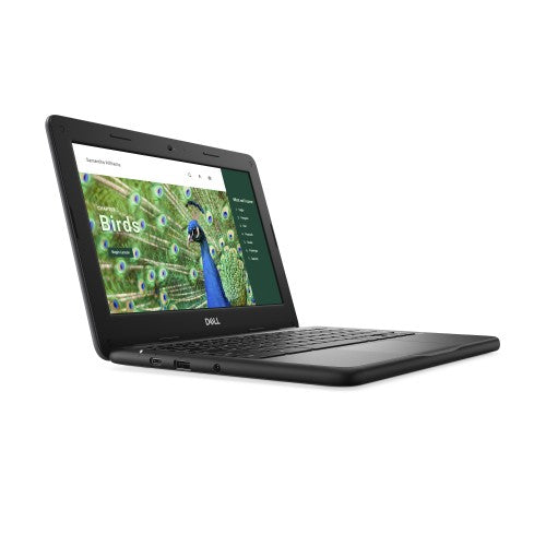DELL Chromebook 3120 Intel® N N100 11.6" HD 4 GB LPDDR5-SDRAM 64 GB eMMC Wi-Fi 6 (802.11ax) ChromeOS Black US English