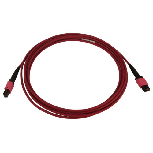 Tripp Lite N845B-03M-12-MG InfiniBand/fibre optic cable 118.1" (3 m) MPO/MTP OFNR Black, Magenta