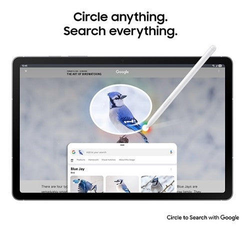 Samsung Galaxy Tab S10 FE 5G LTE-TDD & LTE-FDD 128 GB 10.9" 8 GB Wi-Fi 6 (802.11ax) Gray