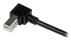 StarTech.com 2m USB 2.0 USB cable 78.7" (2 m) USB A USB B 0.48 Gbit/s Black