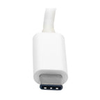 Tripp Lite U444-06N-DVI-AM USB graphics adapter White