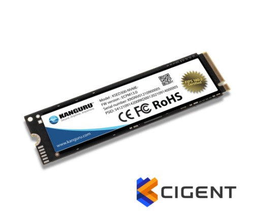 iStorage Kanguru SED300 2 TB M.2 PCI Express 3.0 NVMe 3D TLC
