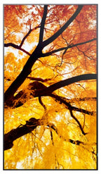 Sharp MultiSync M552 Digital signage flat panel 55" LCD 550 cd/m² 4K Ultra HD Black Touchscreen