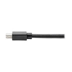 Tripp Lite P139-06N-DP4K6B DisplayPort cable 7.87" (0.2 m) Mini DisplayPort Black