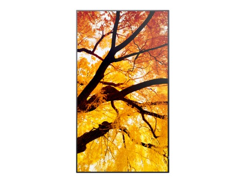 Sharp MultiSync M552 Digital signage flat panel 55" LCD 550 cd/m² 4K Ultra HD Black Touchscreen