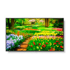 Sharp M491-PT signage display Digital signage flat panel 49" LCD Wi-Fi 500 cd/m² Black Touchscreen 24/7