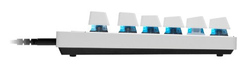Logitech G PRO X TKL Rapid keyboard Gaming USB QWERTY English White