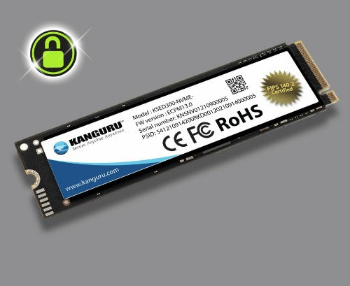 iStorage Kanguru SED300 2 TB M.2 PCI Express 3.0 NVMe 3D TLC