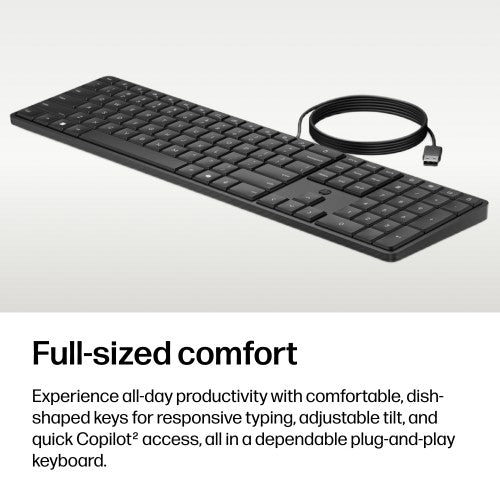 HP 175K Wired Keyboard