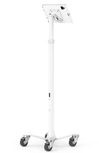 Compulocks MCRSTDW11APXW tablet security enclosure 11" Black, White