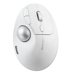 Kensington Pro Fit Ergo TB550 mouse Right-hand RF Wireless + Bluetooth Optical 1600 DPI