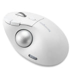Kensington Pro Fit Ergo TB550 mouse Right-hand RF Wireless + Bluetooth Optical 1600 DPI