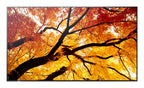 Sharp MultiSync M862 Digital signage flat panel 86" LCD 550 cd/m² 4K Ultra HD Black 24/7