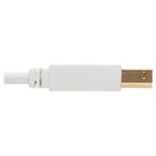 Tripp Lite U022AB-010-WH USB cable USB 2.0 120.1" (3.05 m) USB A USB B White