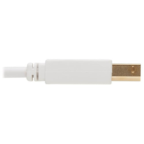 Tripp Lite U022AB-010-WH USB cable USB 2.0 120.1" (3.05 m) USB A USB B White