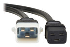 Eaton P036-E03-6 power cable Black 35.4" (0.9 m) C20 coupler C19 coupler