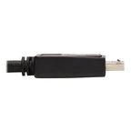 Tripp Lite P582-010-4K6AE video cable adapter 120.1" (3.05 m) DisplayPort HDMI Black