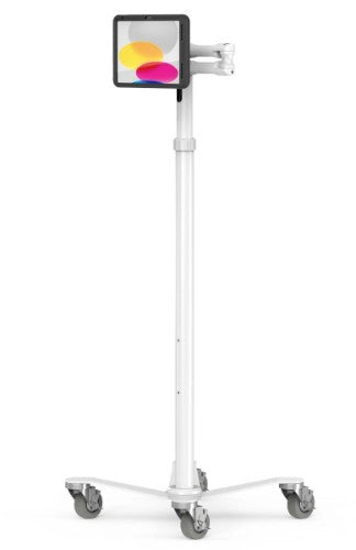 Compulocks MCRSTDEXWPMIP109 tablet security enclosure 10.9" Black, White