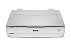Epson Expression 13000XL Flatbed scanner 2400 x 4800 DPI A3 White